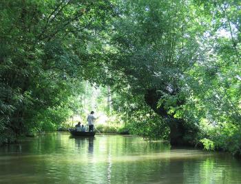 1005px maraispoitevin